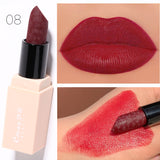 Ladies Fashion Velvet Mousse Lipstick Set